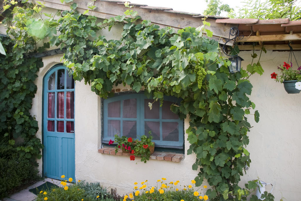 Chambre D'Hotes Oeuil De Bouc Madiran Номер фото